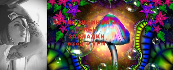 эйфоретик Пролетарск