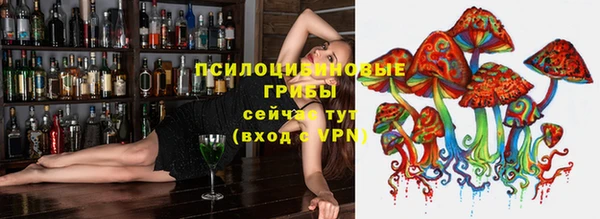 прущие грибы Аркадак