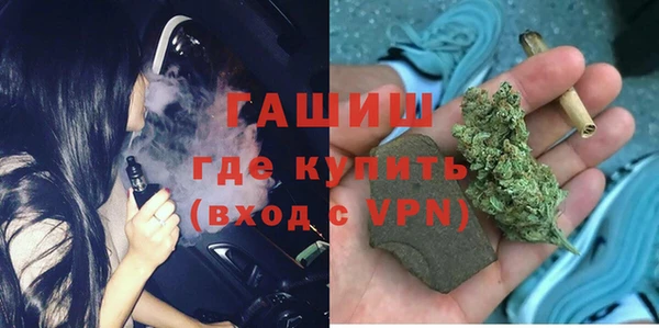 прущие грибы Аркадак