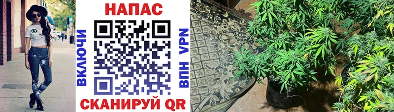 наркошоп  Буинск  Канабис индика 
